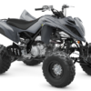 RAPTOR 700